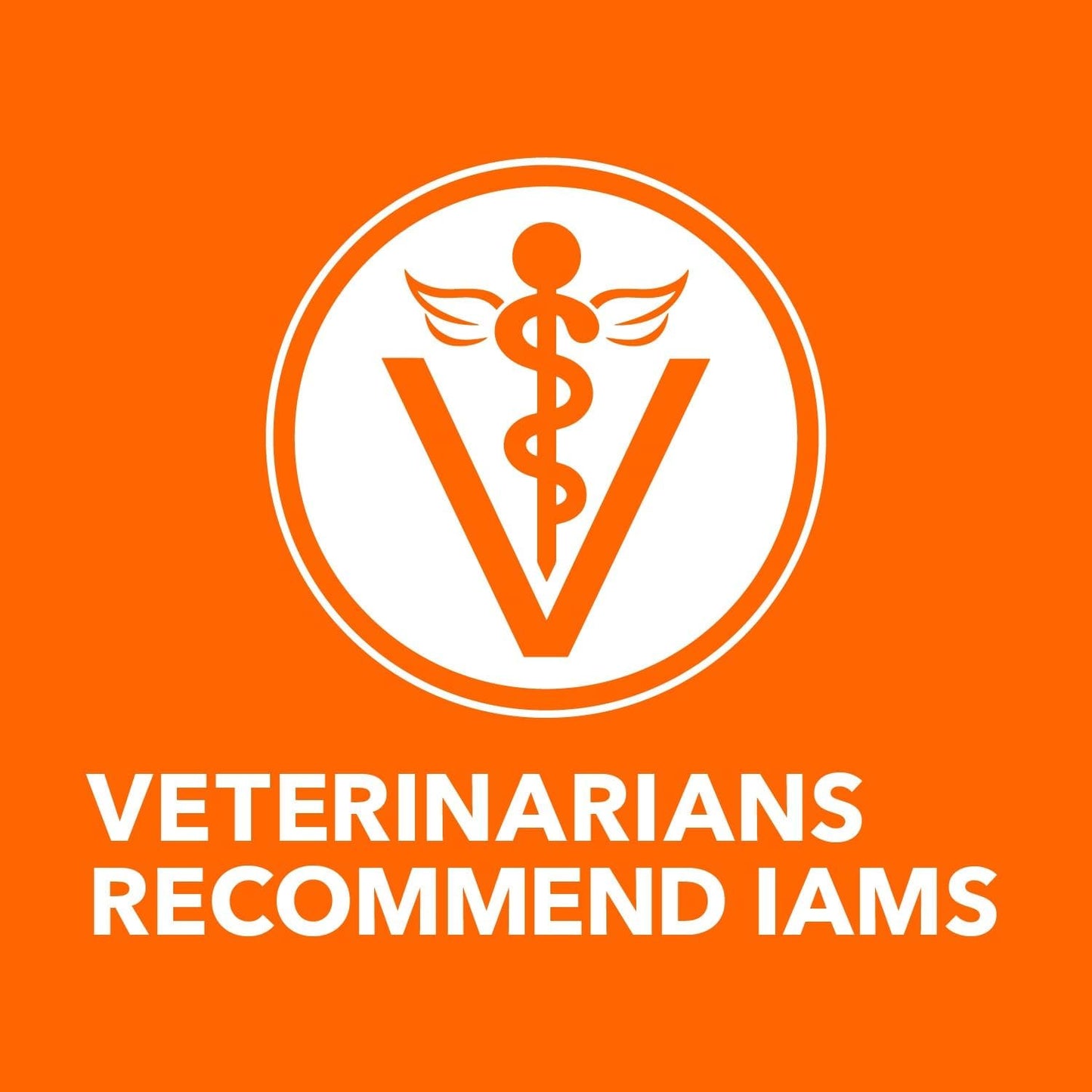 Nourish Your Cat's Health with IAMS Proactive Health Adult Sensitive Digestion & Skin Dry Cat Food – Turkey Flavor, 13 Lb Bag
