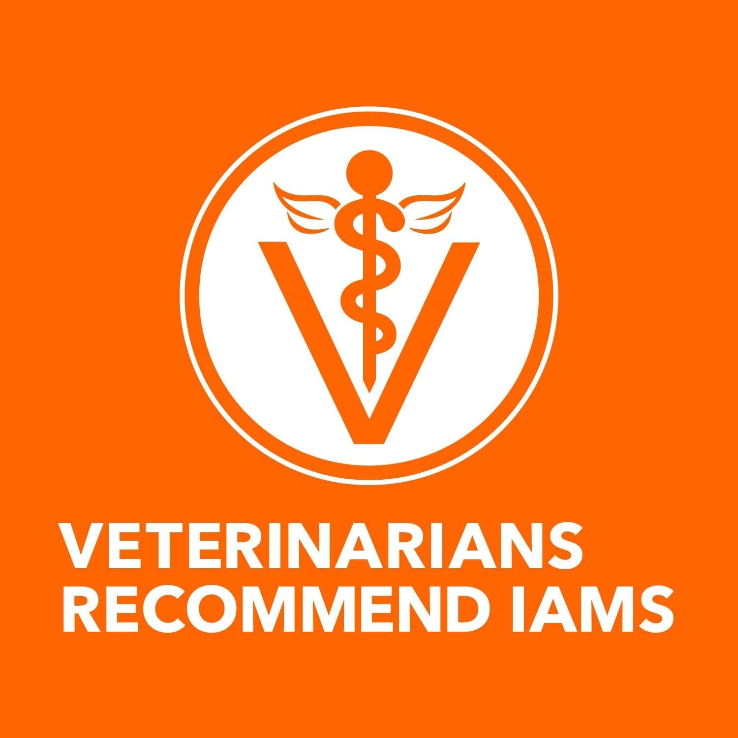 Nourish Your Cat's Health with IAMS Proactive Health Adult Sensitive Digestion & Skin Dry Cat Food – Turkey Flavor, 13 Lb Bag