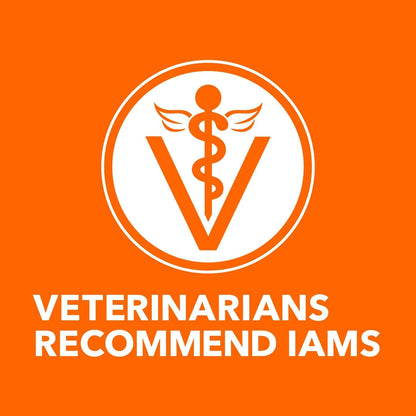 Nourish Your Cat's Health with IAMS Proactive Health Adult Sensitive Digestion & Skin Dry Cat Food – Turkey Flavor, 13 Lb Bag