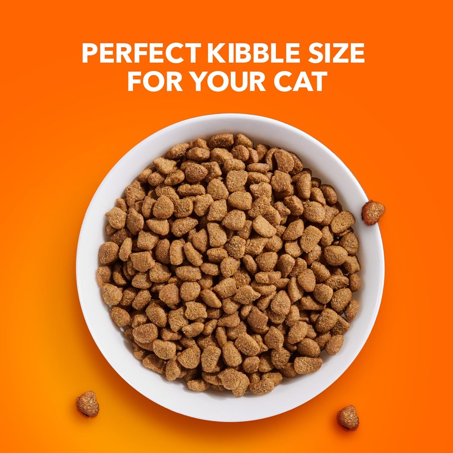 Nourish Your Cat's Health with IAMS Proactive Health Adult Sensitive Digestion & Skin Dry Cat Food – Turkey Flavor, 13 Lb Bag
